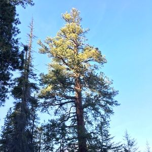 Meet your Posher, Cameron